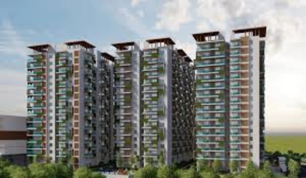 Featured Image of Ananda The Drizzle